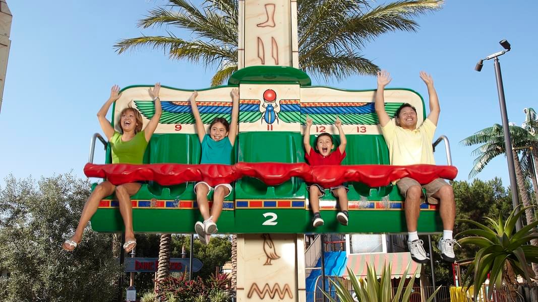 Try the Unmissable Beetle Bounce Ride